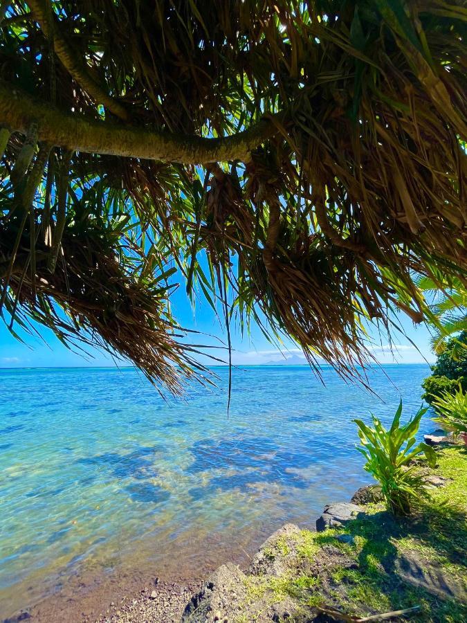 O'Coco Bungalow- Breathtaking Waterfront Views, Endless Memories Paea Exterior foto