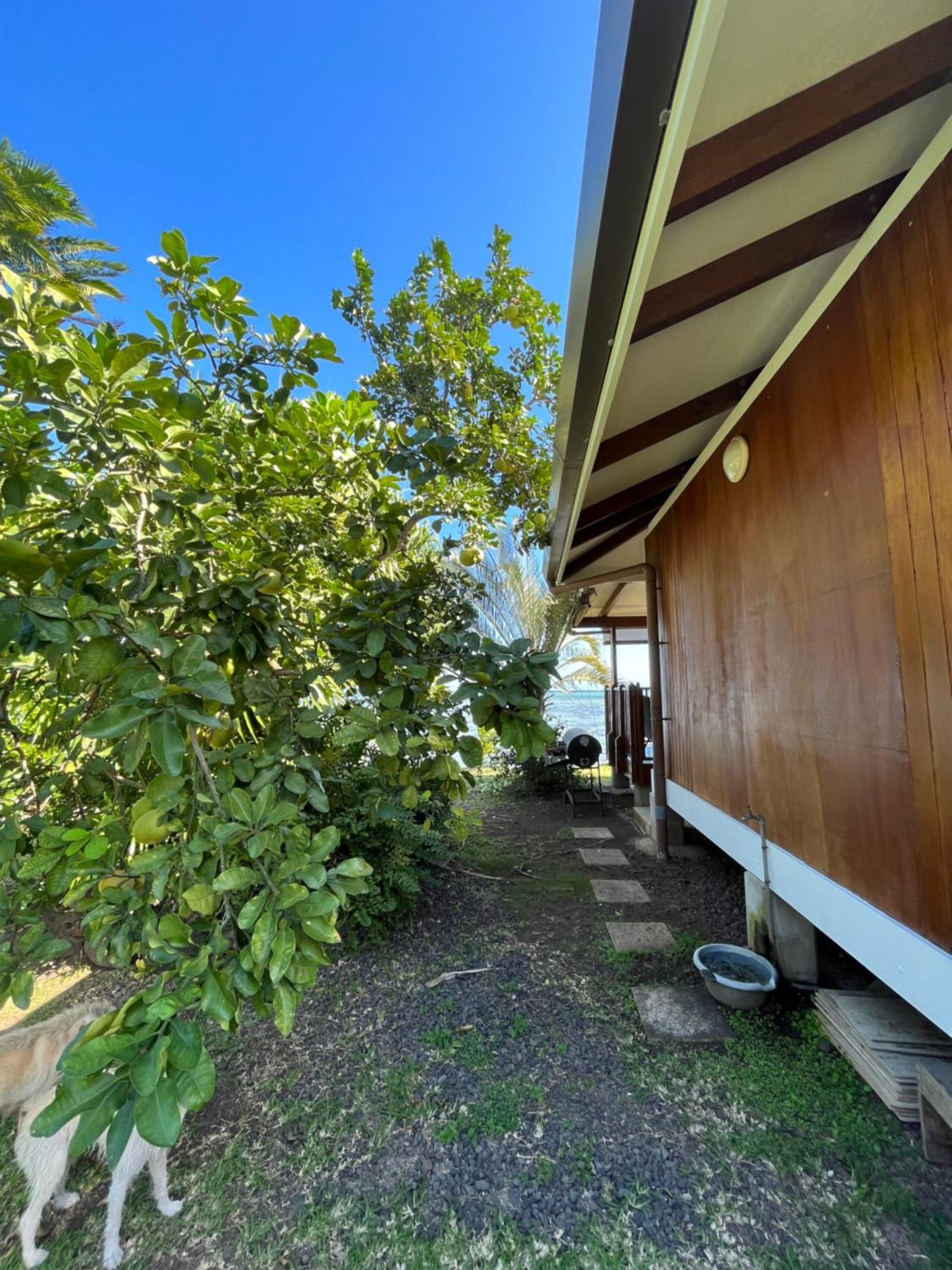 O'Coco Bungalow- Breathtaking Waterfront Views, Endless Memories Paea Exterior foto