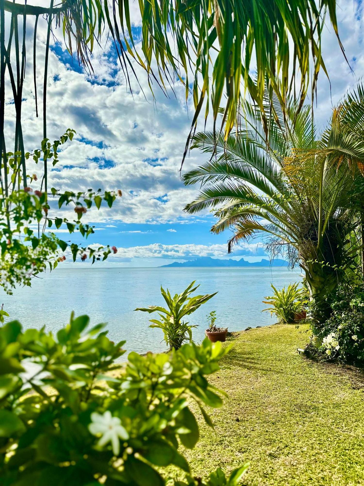 O'Coco Bungalow- Breathtaking Waterfront Views, Endless Memories Paea Exterior foto
