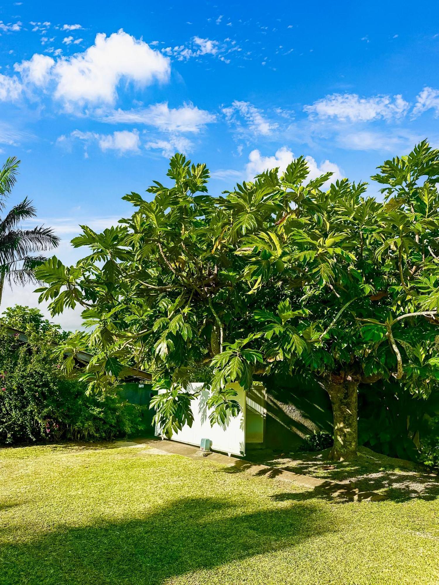 O'Coco Bungalow- Breathtaking Waterfront Views, Endless Memories Paea Exterior foto